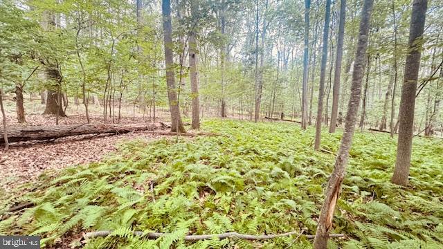 0 Kirkhoff Road Westminster, MD 21158 - Photo 4 of 4 a view of a garden with large trees