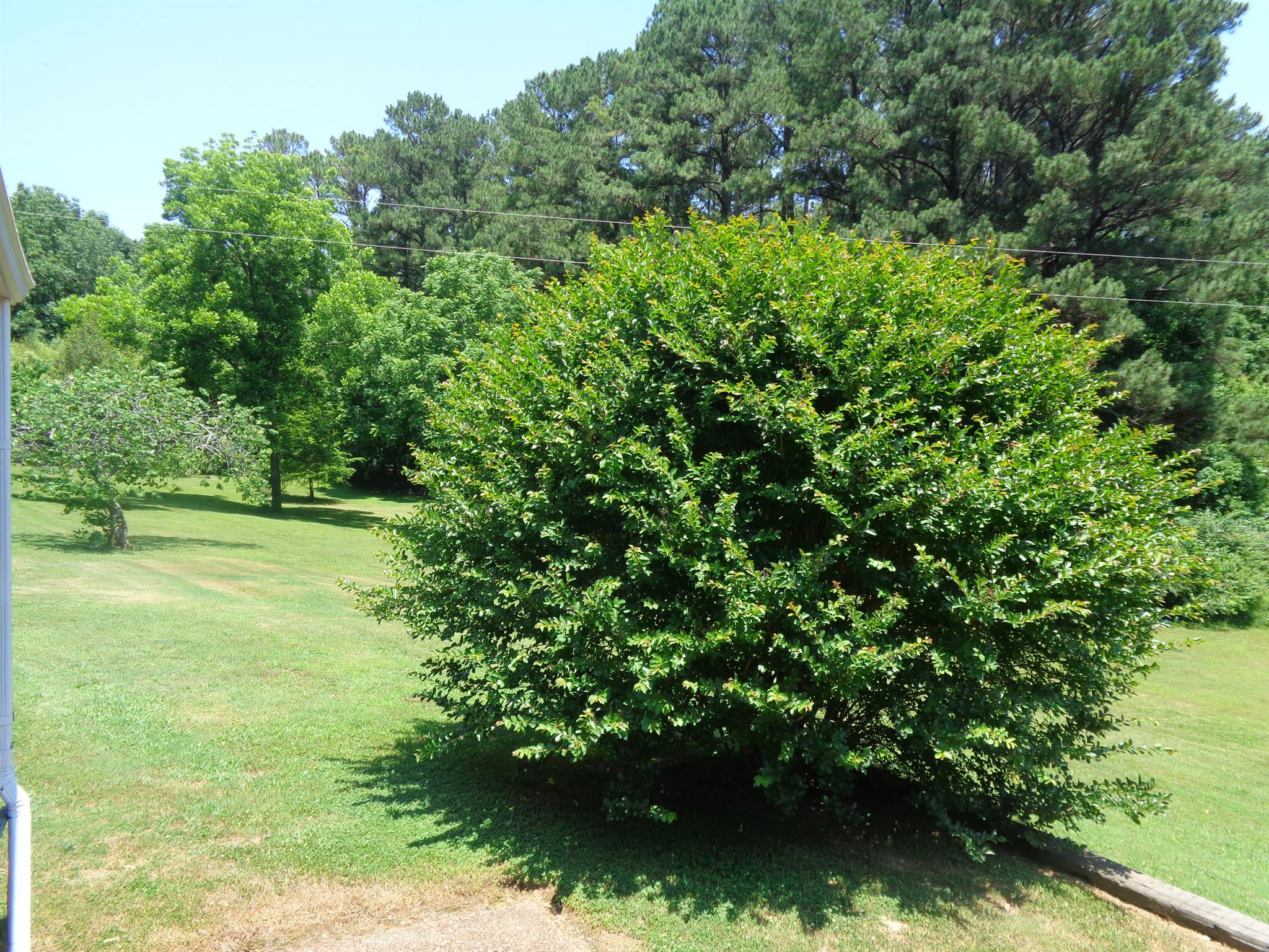 333 Good Hope Road Lawrenceburg, TN 38464 - Photo 26 of 30 Gallery Image 26