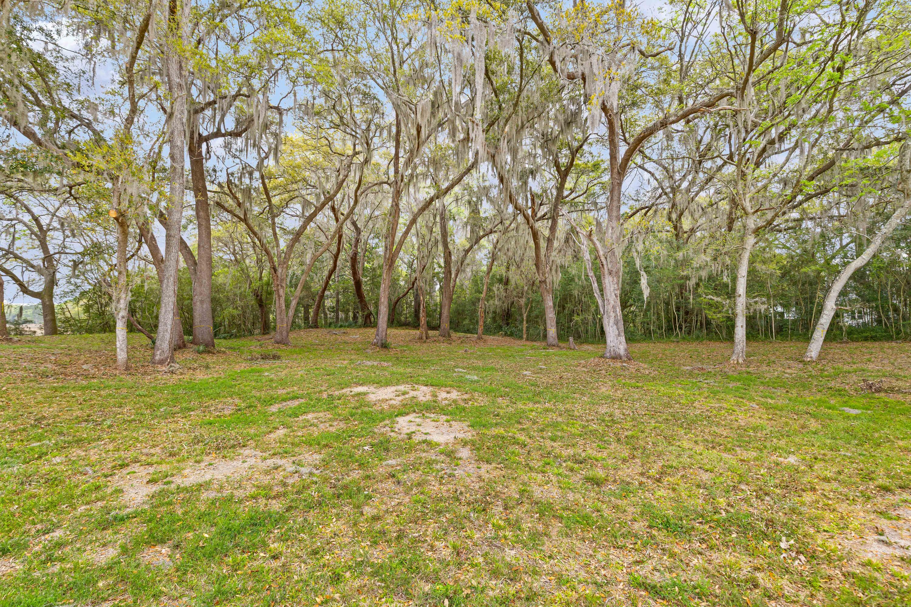 3956 Bulow Plantation Road Johns Island, SC 29455 - Photo 11 of 52 3956-Bulow-Plantation-8