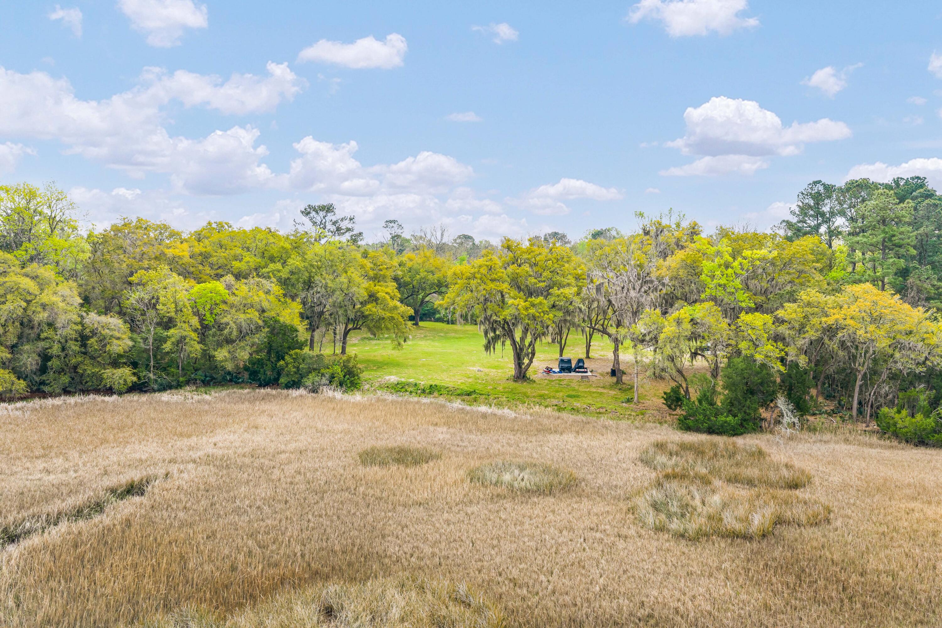 3956 Bulow Plantation Road Johns Island, SC 29455 - Photo 17 of 52 3956-Bulow-Plantation-35