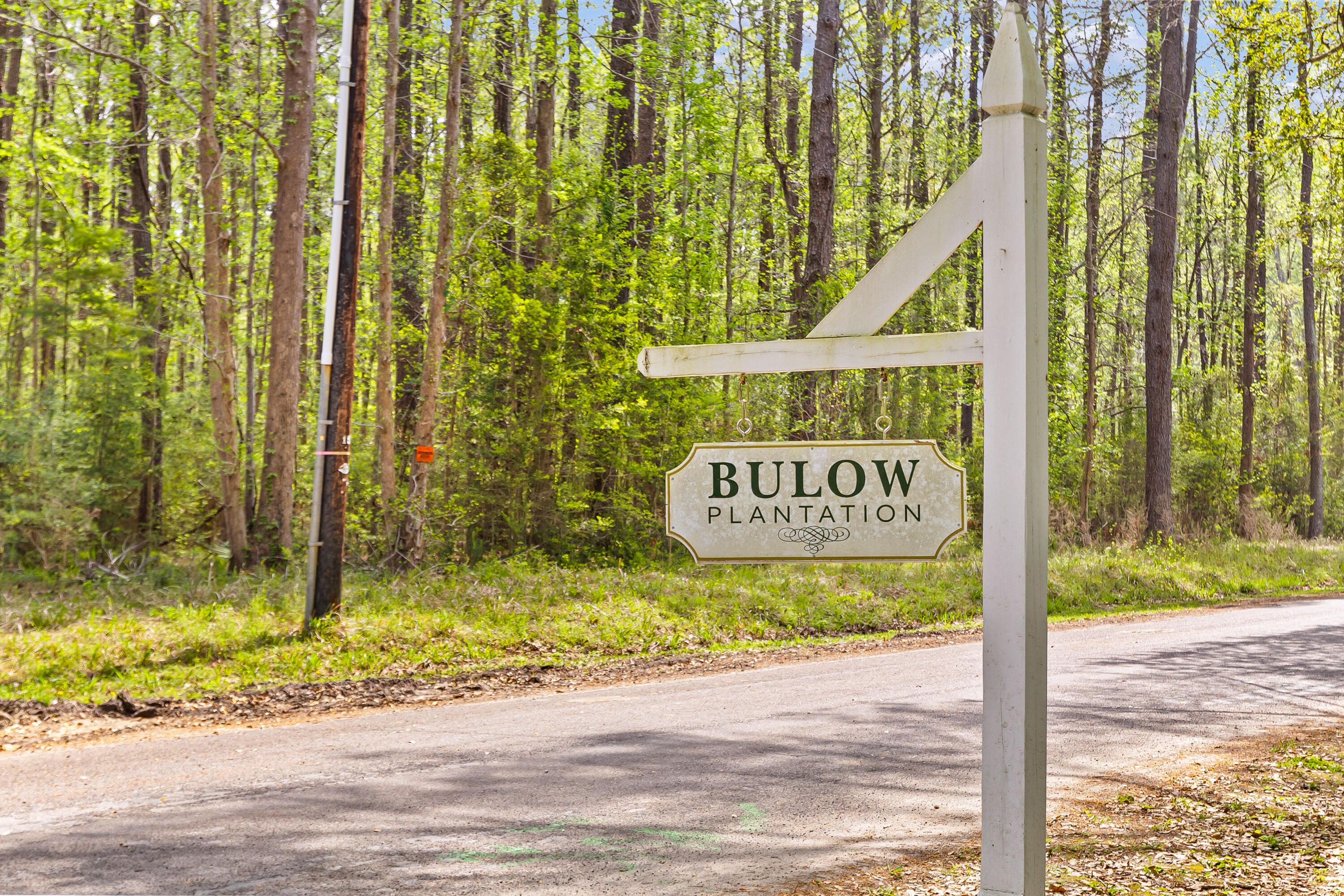 3956 Bulow Plantation Road Johns Island, SC 29455 - Photo 25 of 52 3956-Bulow-Plantation-22