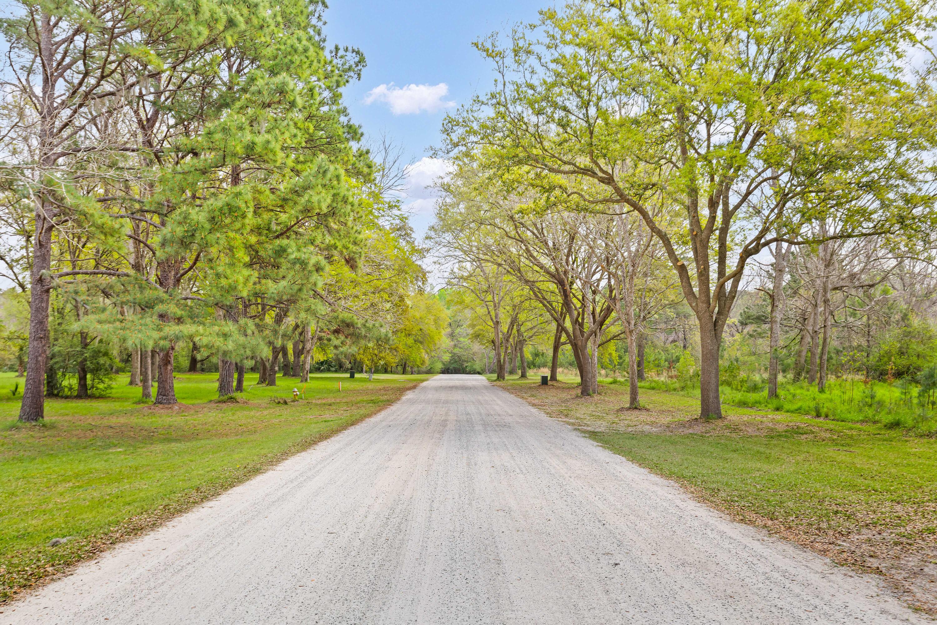 3956 Bulow Plantation Road Johns Island, SC 29455 - Photo 27 of 52 3956-Bulow-Plantation-14