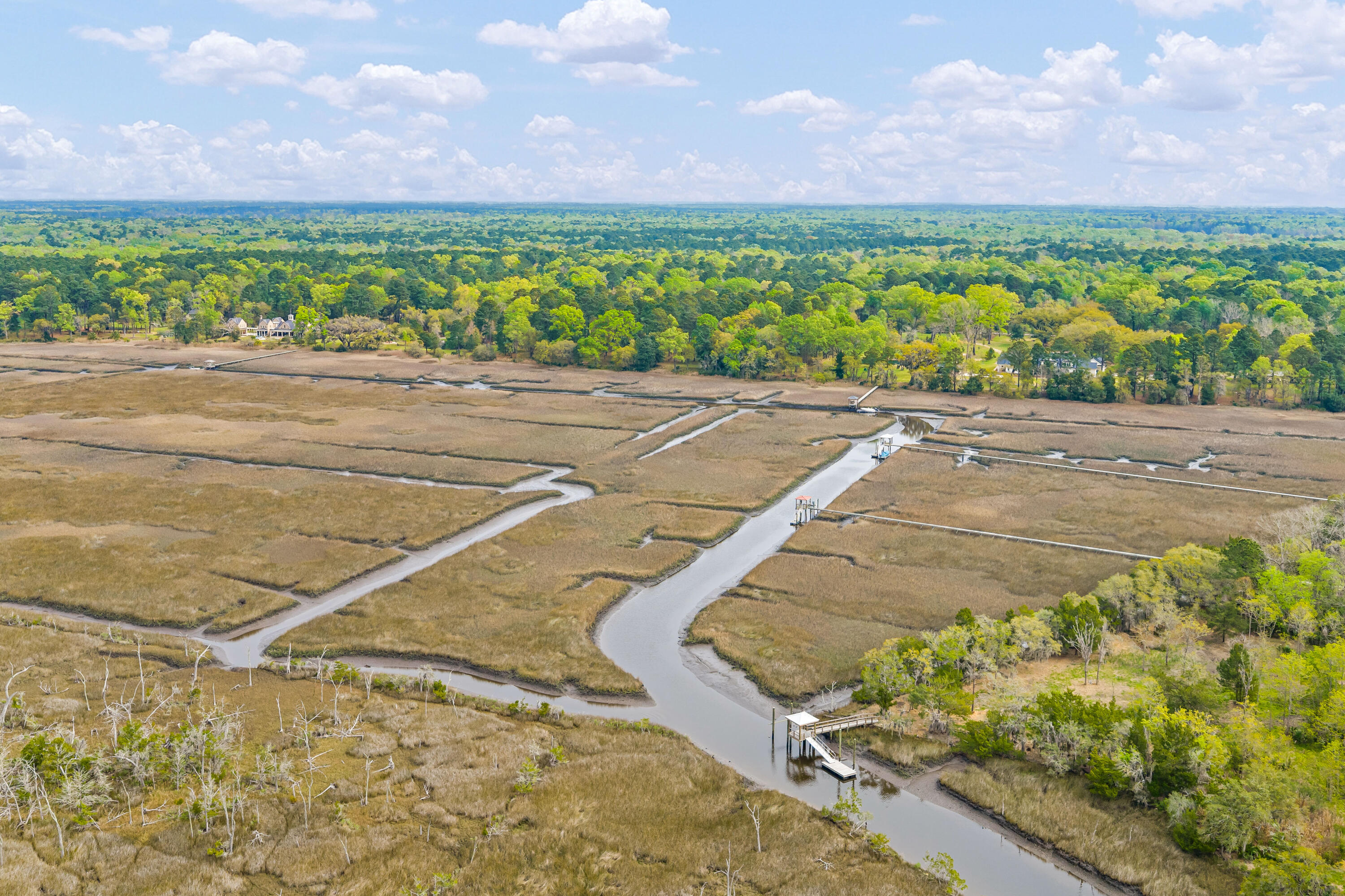 3956 Bulow Plantation Road Johns Island, SC 29455 - Photo 37 of 52 3956-Bulow-Plantation-33