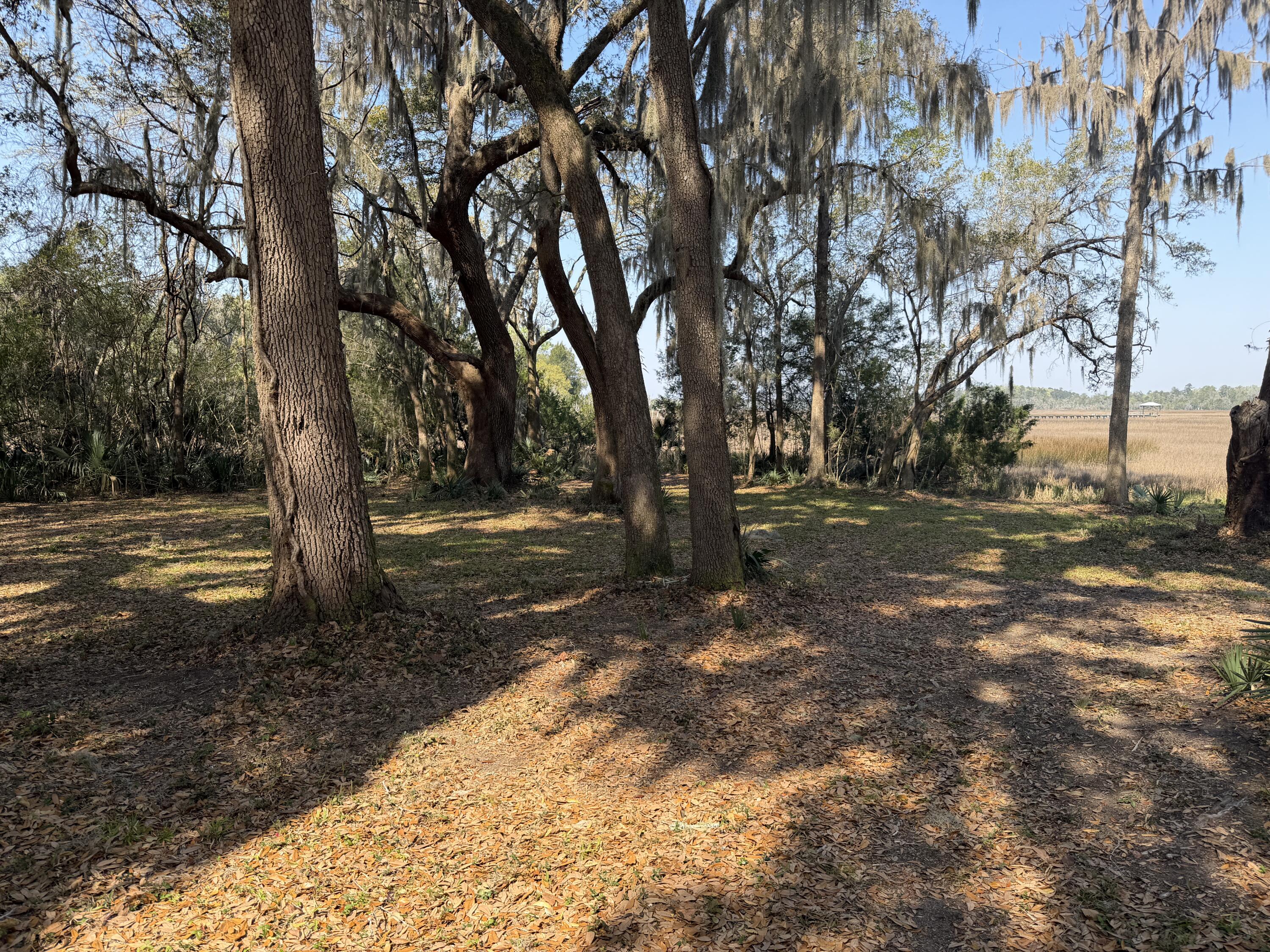 3956 Bulow Plantation Road Johns Island, SC 29455 - Photo 40 of 52 IMG_0038