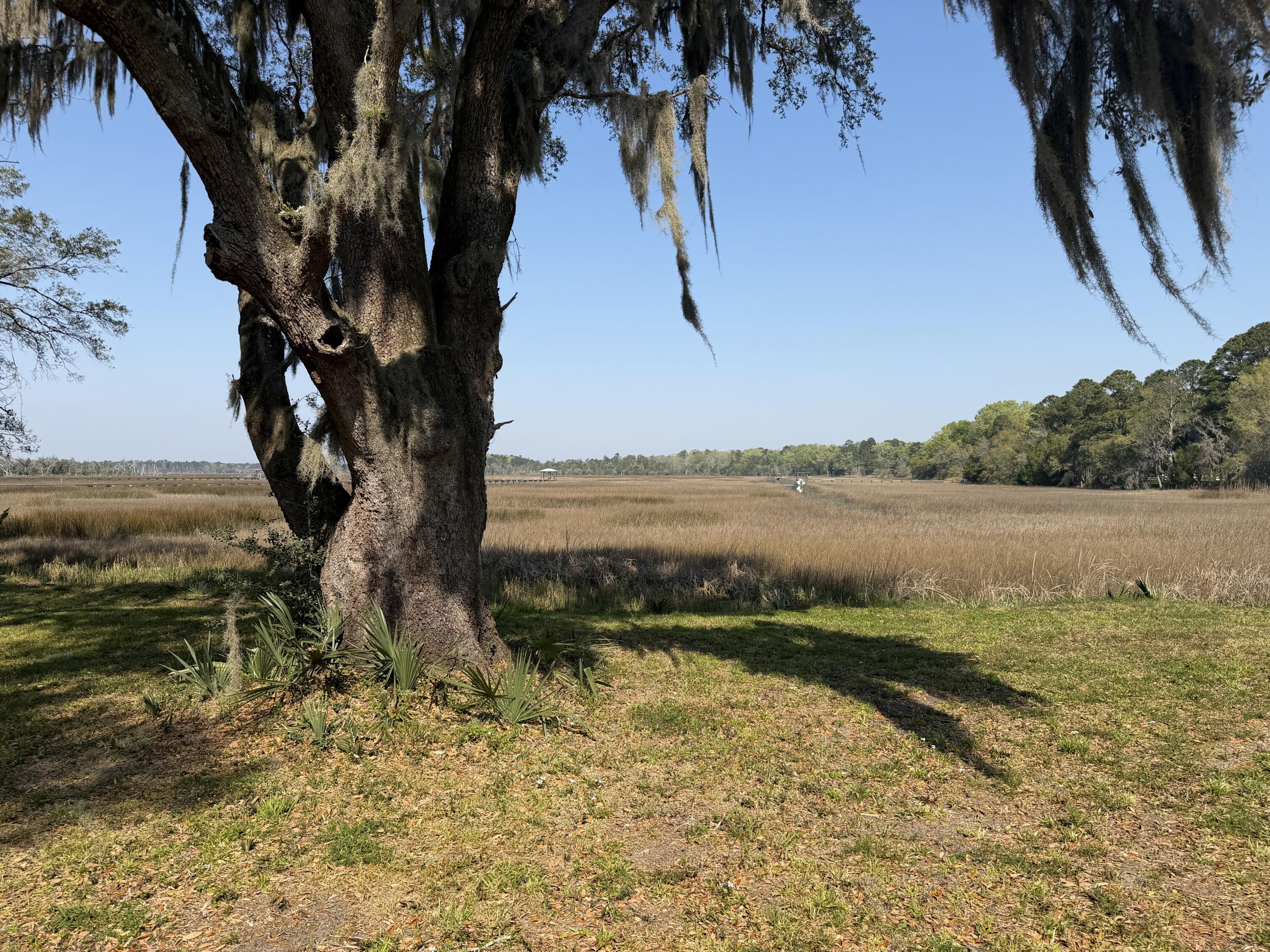 3956 Bulow Plantation Road Johns Island, SC 29455 - Photo 42 of 52 IMG_0040