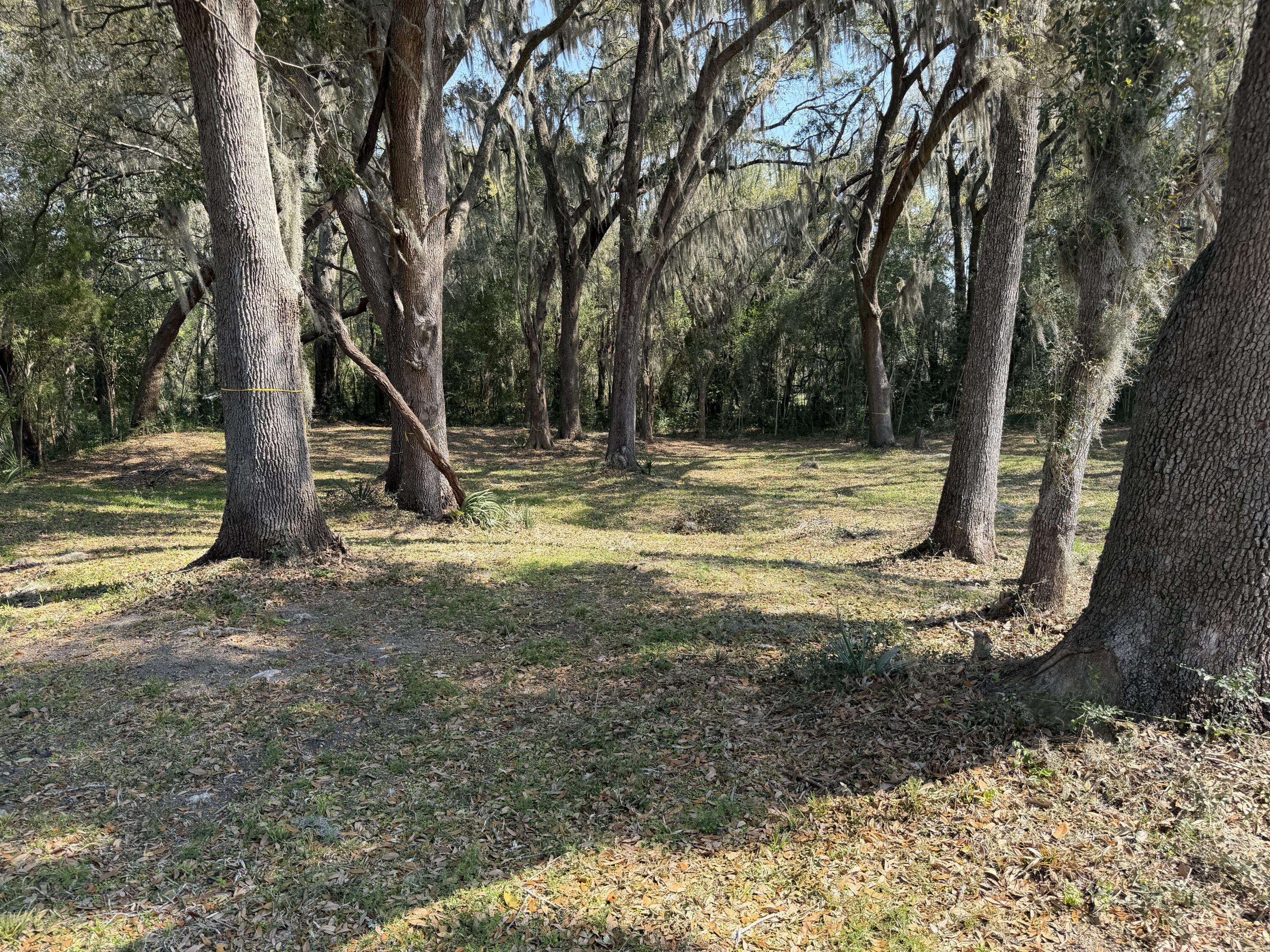3956 Bulow Plantation Road Johns Island, SC 29455 - Photo 49 of 52 IMG_0053