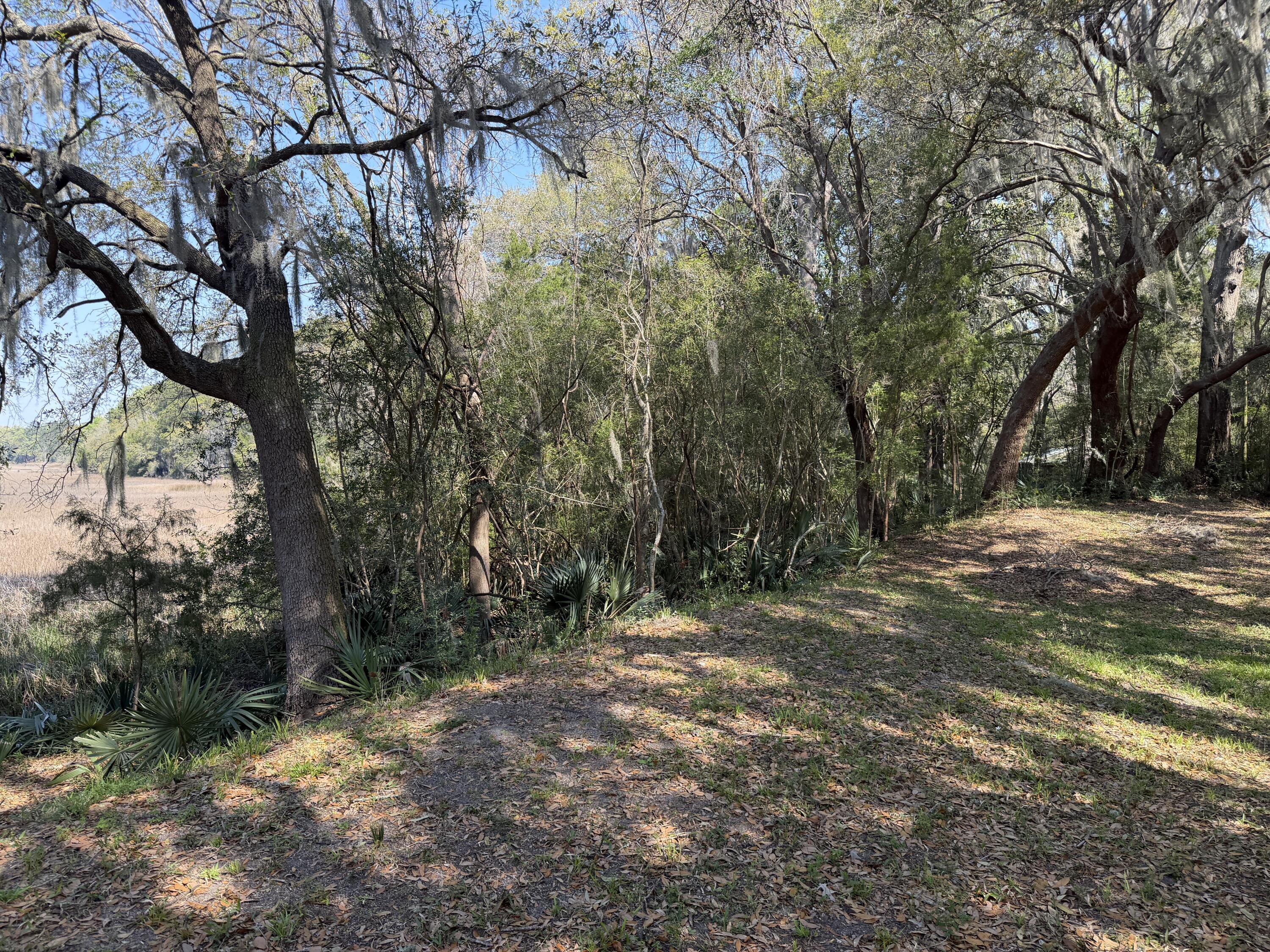 3956 Bulow Plantation Road Johns Island, SC 29455 - Photo 50 of 52 IMG_0054