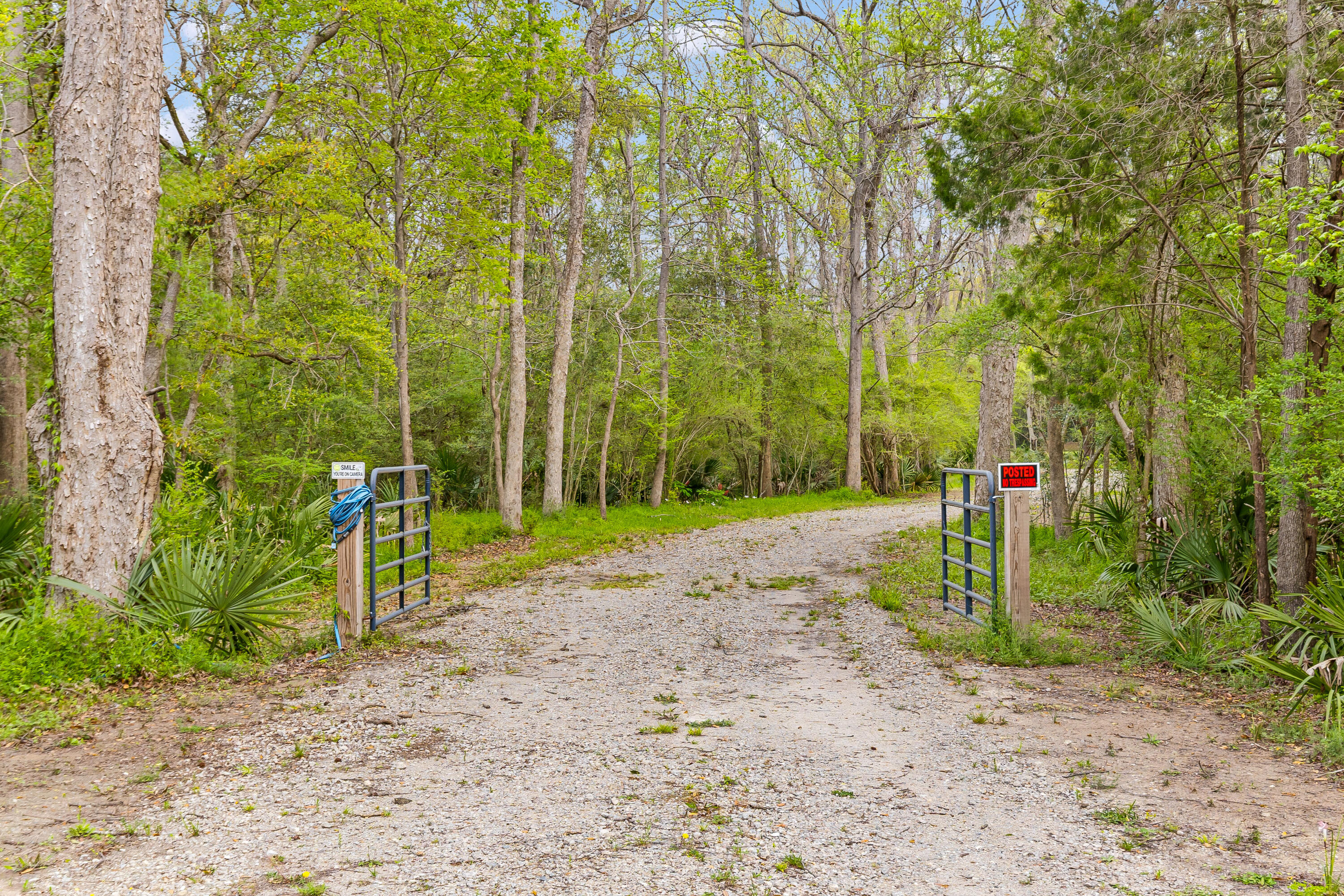 3956 Bulow Plantation Road Johns Island, SC 29455 - Photo 5 of 52 3956-Bulow-Plantation-1