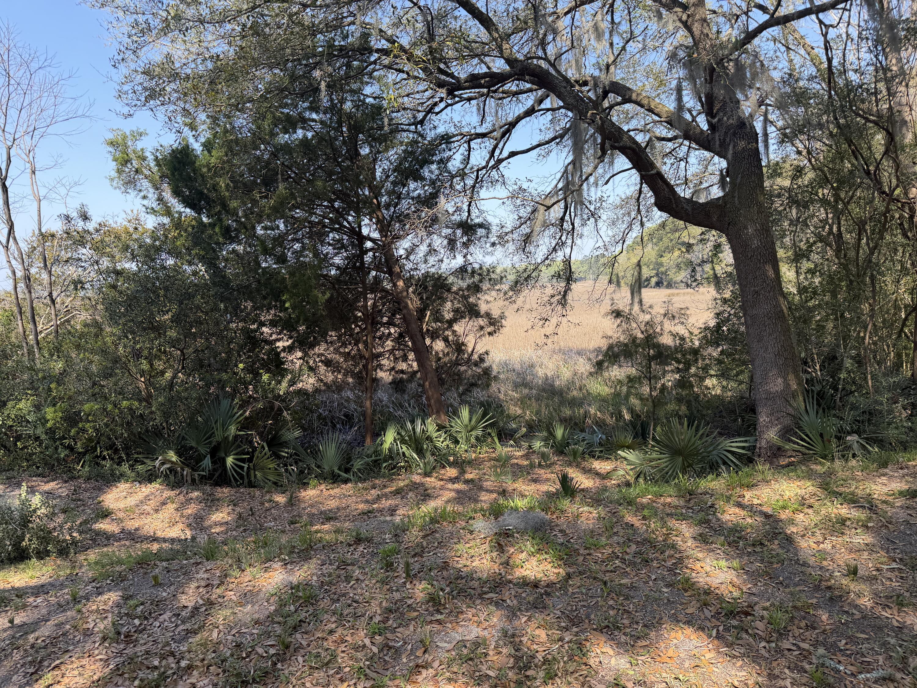 3956 Bulow Plantation Road Johns Island, SC 29455 - Photo 51 of 52 IMG_0055