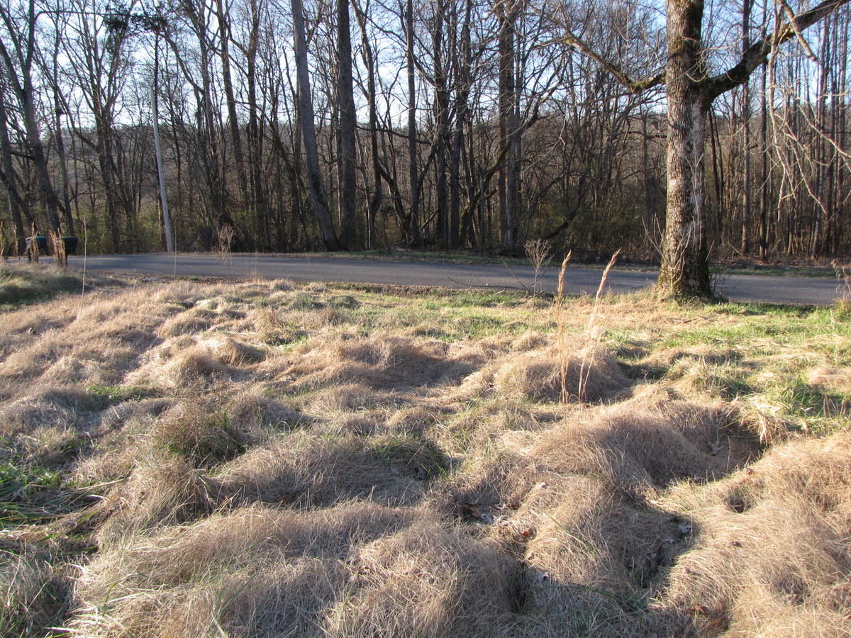809-811 Short Bark Road Madisonville, TN 37354 - Photo 17 of 33 07-IMG_1272