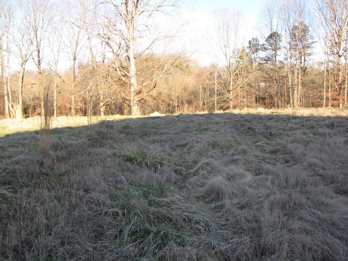 809-811 Short Bark Road Madisonville, TN 37354 - Photo 19 of 33 09-IMG_1274