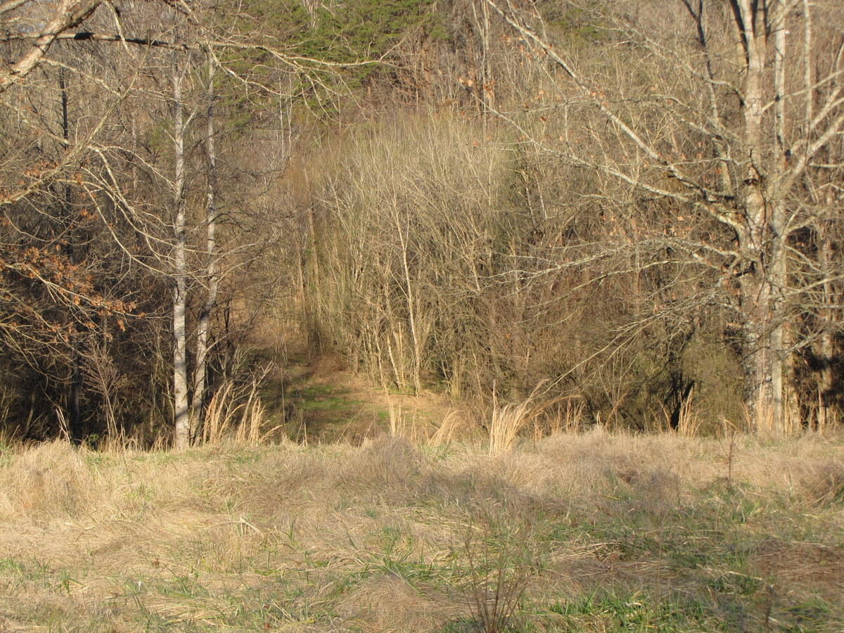 809-811 Short Bark Road Madisonville, TN 37354 - Photo 20 of 33 11-IMG_1276