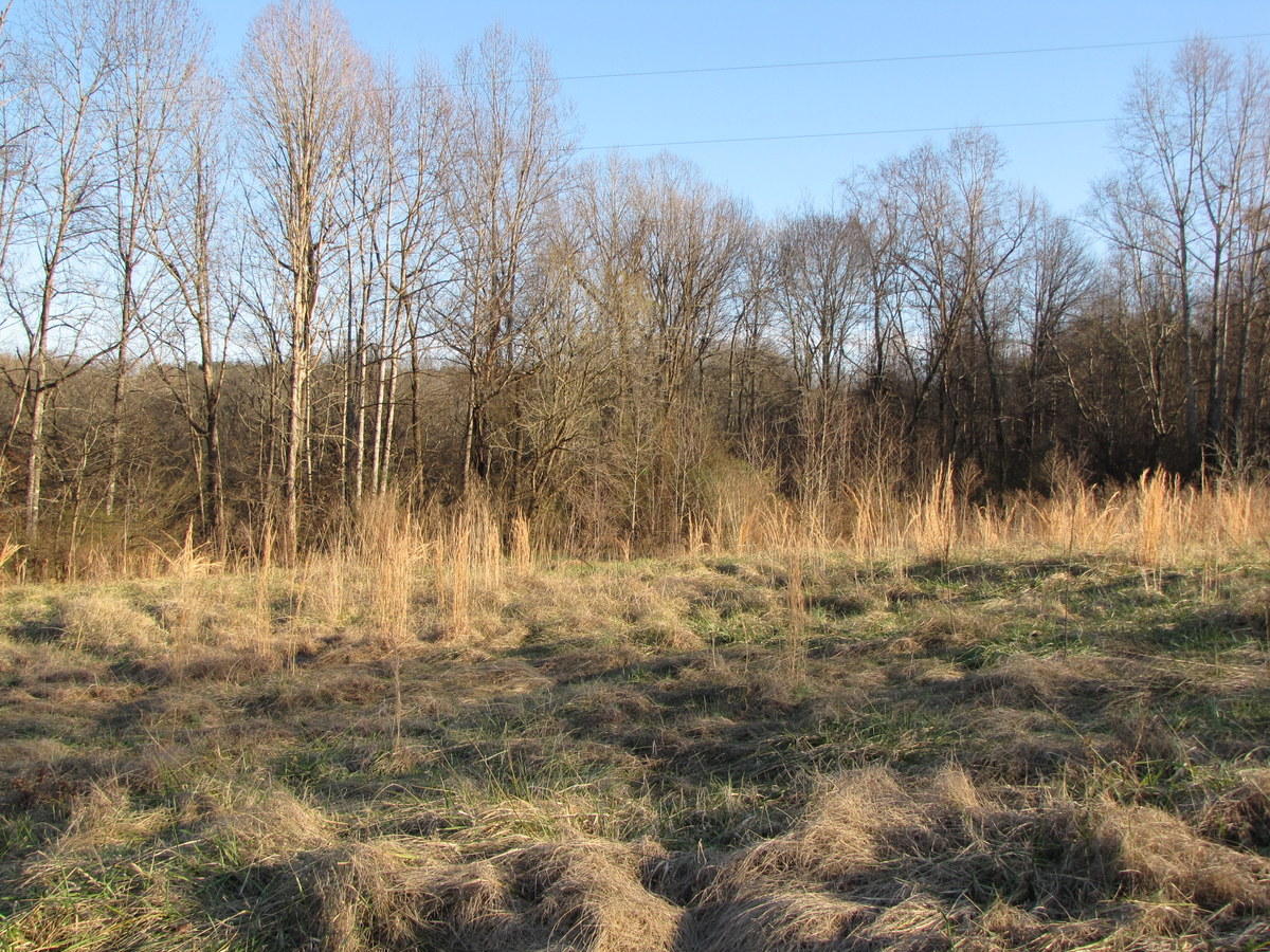 809-811 Short Bark Road Madisonville, TN 37354 - Photo 21 of 33 12-IMG_1277