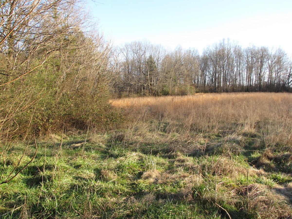 809-811 Short Bark Road Madisonville, TN 37354 - Photo 24 of 33 24-IMG_1289