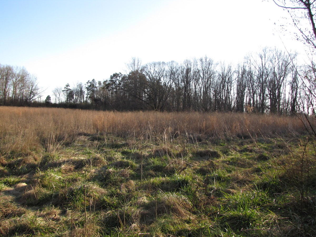 809-811 Short Bark Road Madisonville, TN 37354 - Photo 25 of 33 25-IMG_1290