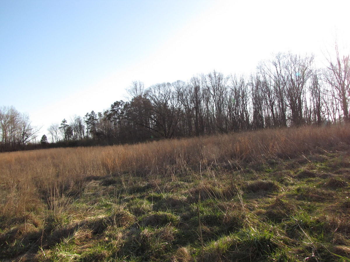 809-811 Short Bark Road Madisonville, TN 37354 - Photo 26 of 33 26-IMG_1291