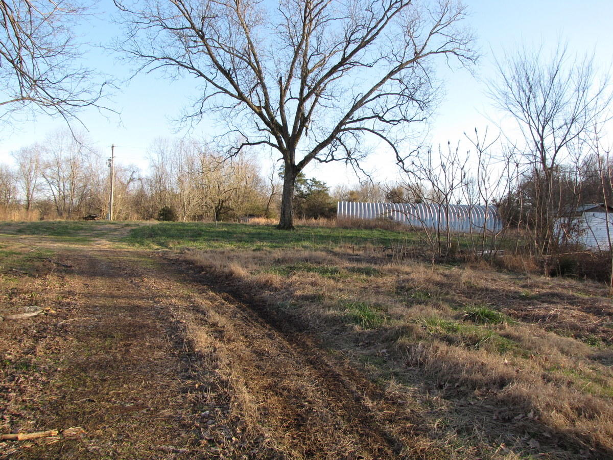 809-811 Short Bark Road Madisonville, TN 37354 - Photo 5 of 33 18-IMG_1283