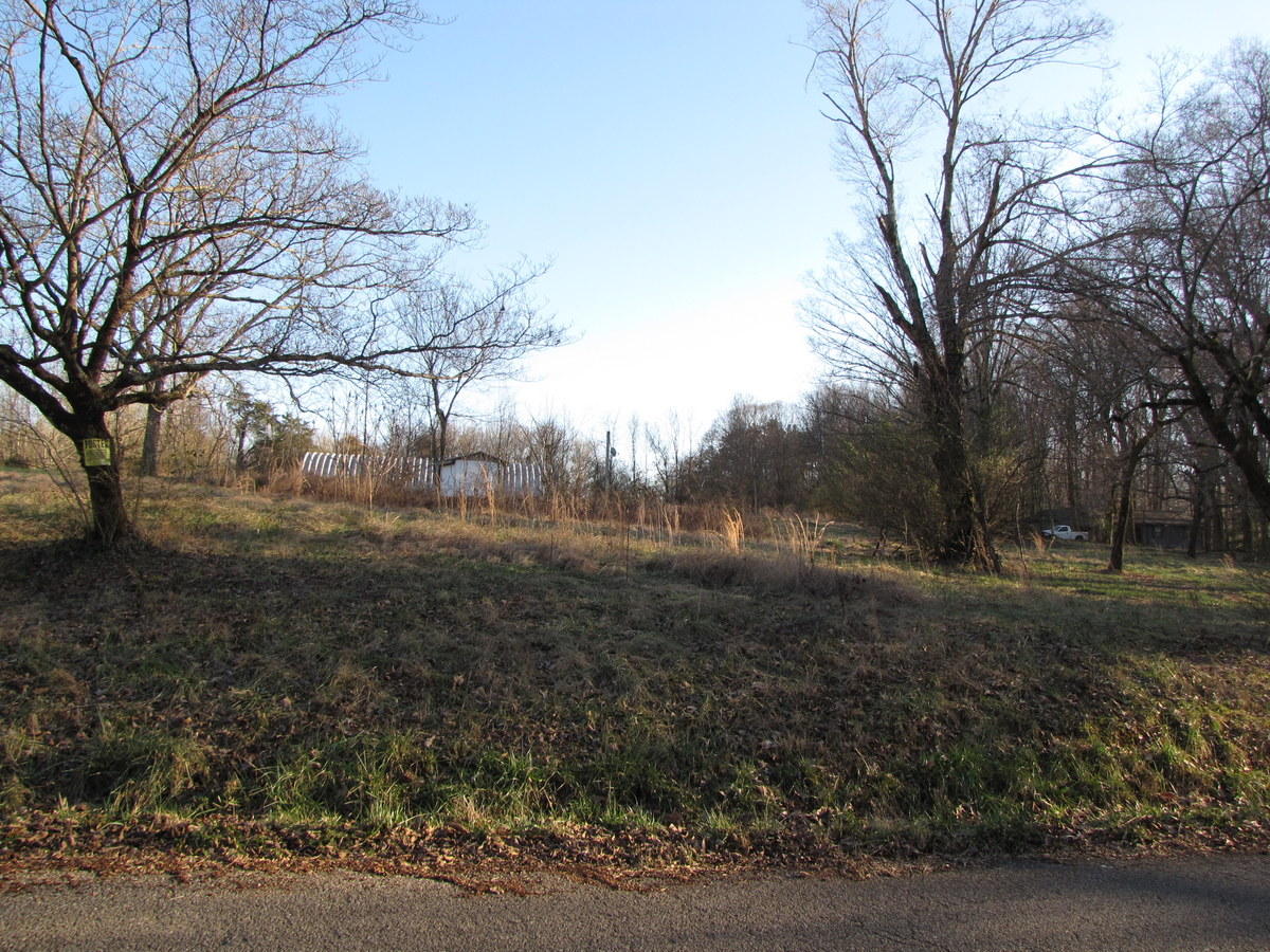 809-811 Short Bark Road Madisonville, TN 37354 - Photo 6 of 33 19-IMG_1284