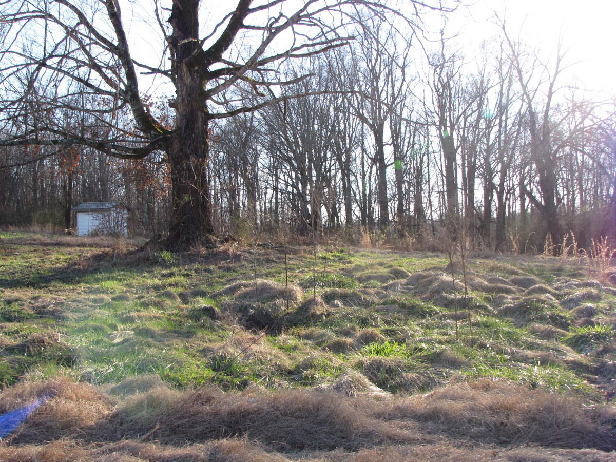809-811 Short Bark Road Madisonville, TN 37354 - Photo 7 of 33 06-IMG_1271