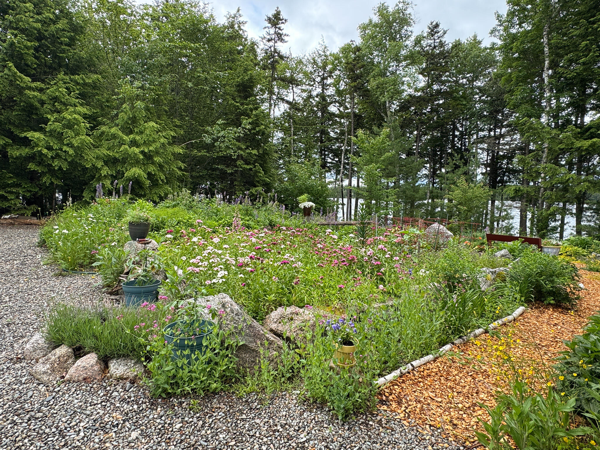 123 Eagle Pt Road Burlington, ME 04417 - Photo 8 of 36 8