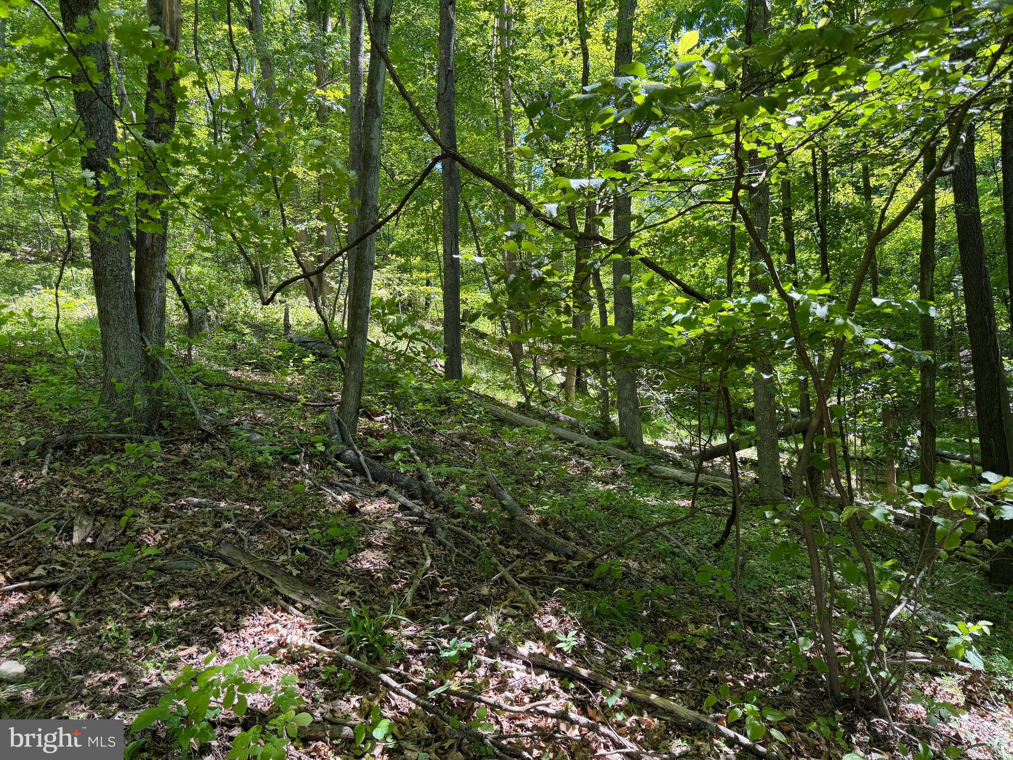 944 Decker Hollow Road Tyrone, PA 16686 - Photo 26 of 82