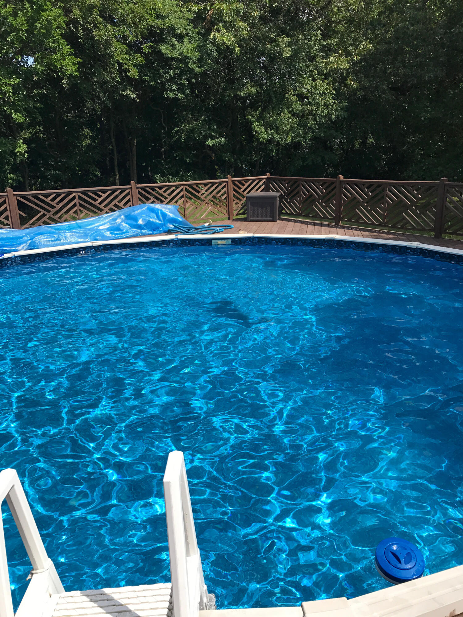 55096 West End Road Three Rivers, MI 49093 - Photo 70 of 74 pool - 55096westend