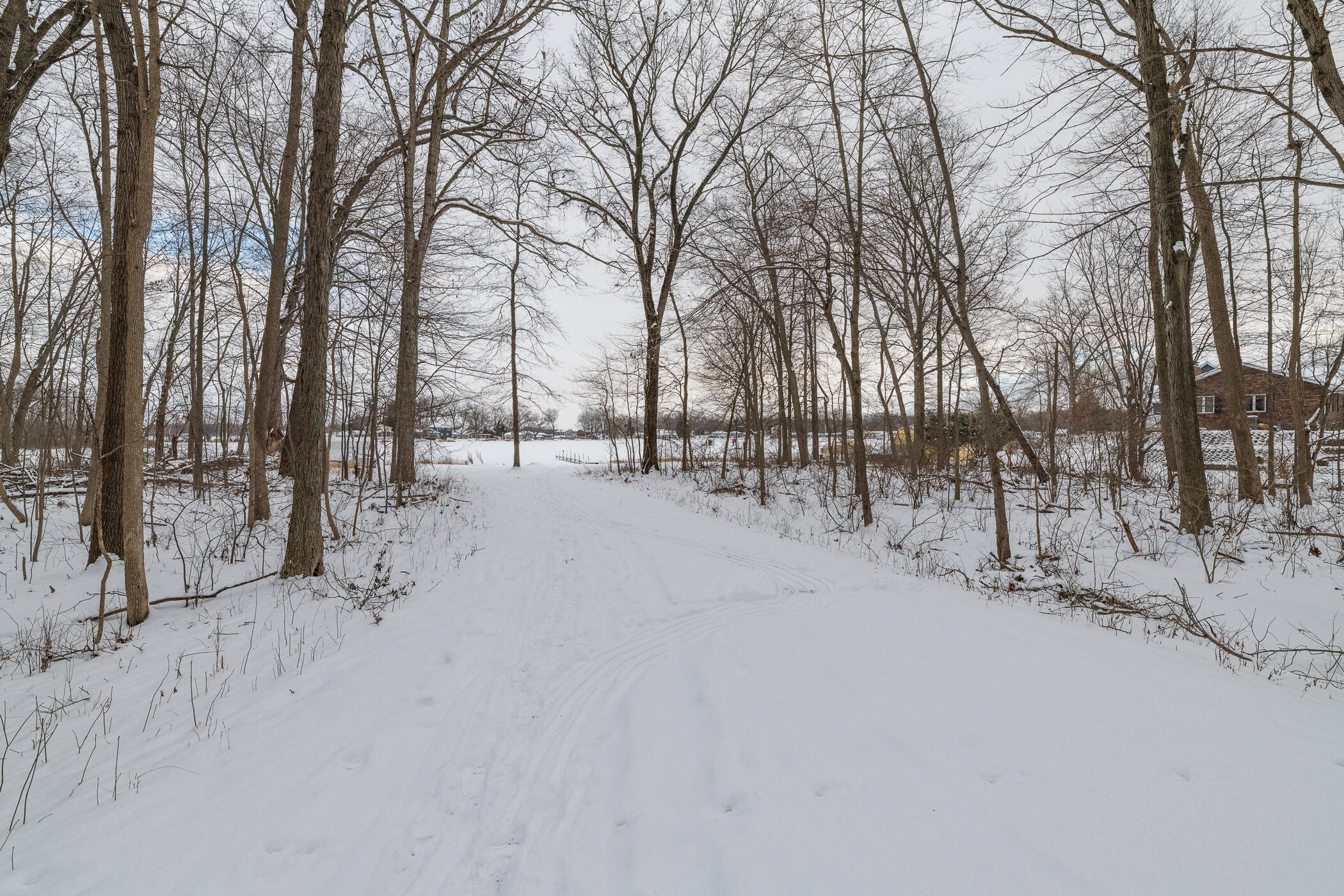 55096 West End Road Three Rivers, MI 49093 - Photo 8 of 74 55096 West End-71