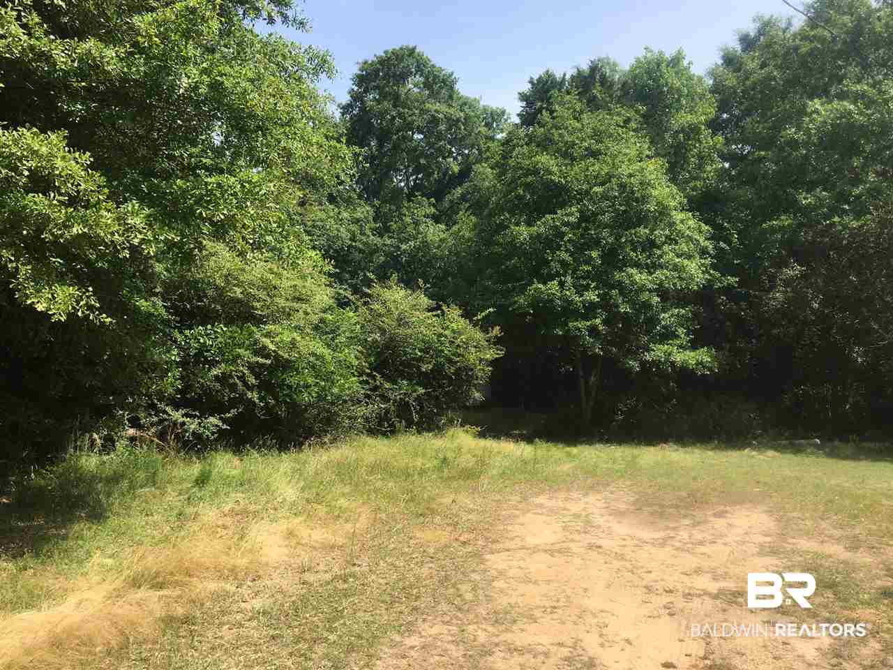 390 Fish Hook Road Brewton, AL 36426 - Photo 3 of 4