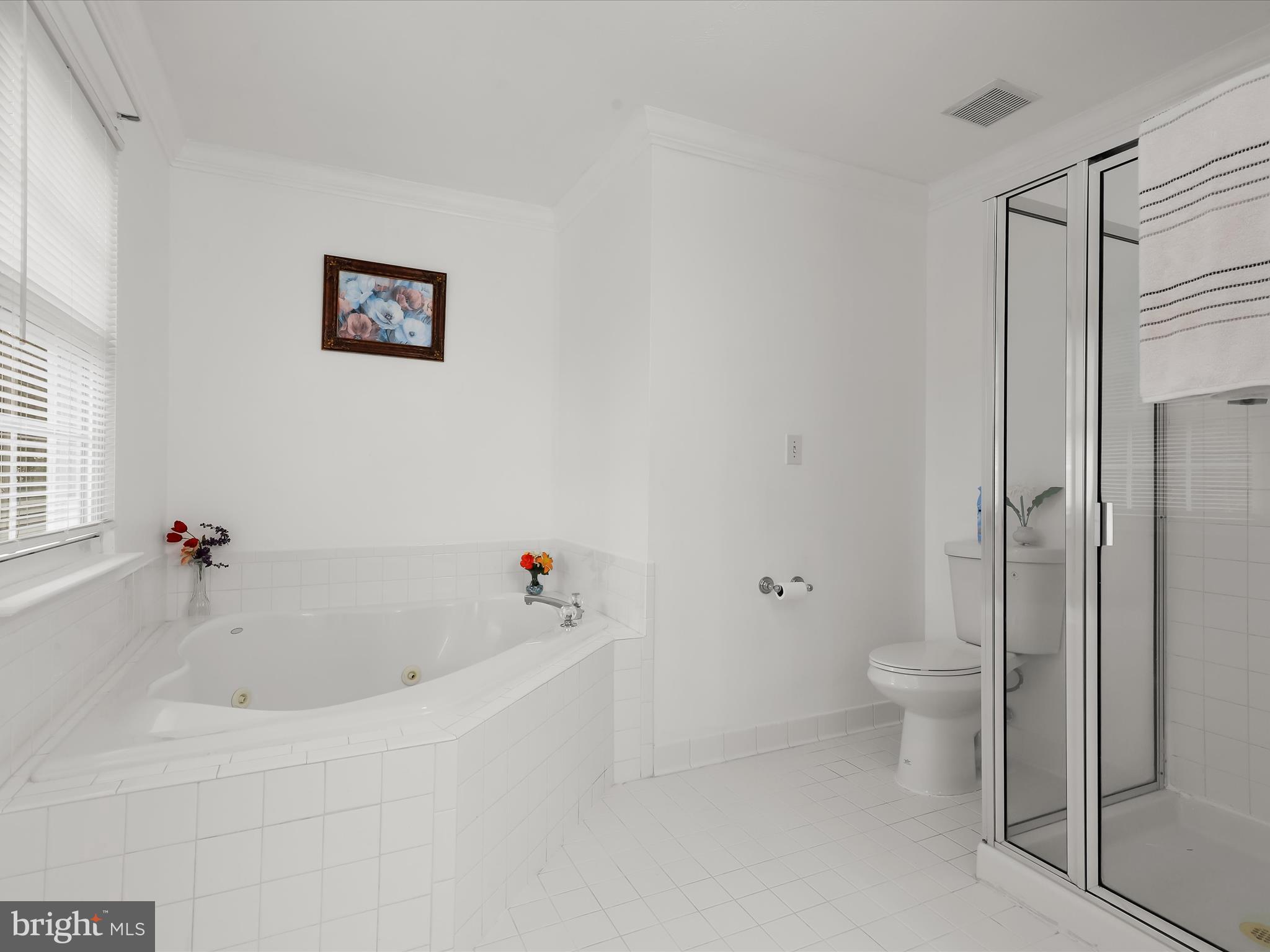 1914 Meadowgate Court Windsor Mill, MD 21244 - Photo 24 of 43 Primary Bedroom Suite Bath