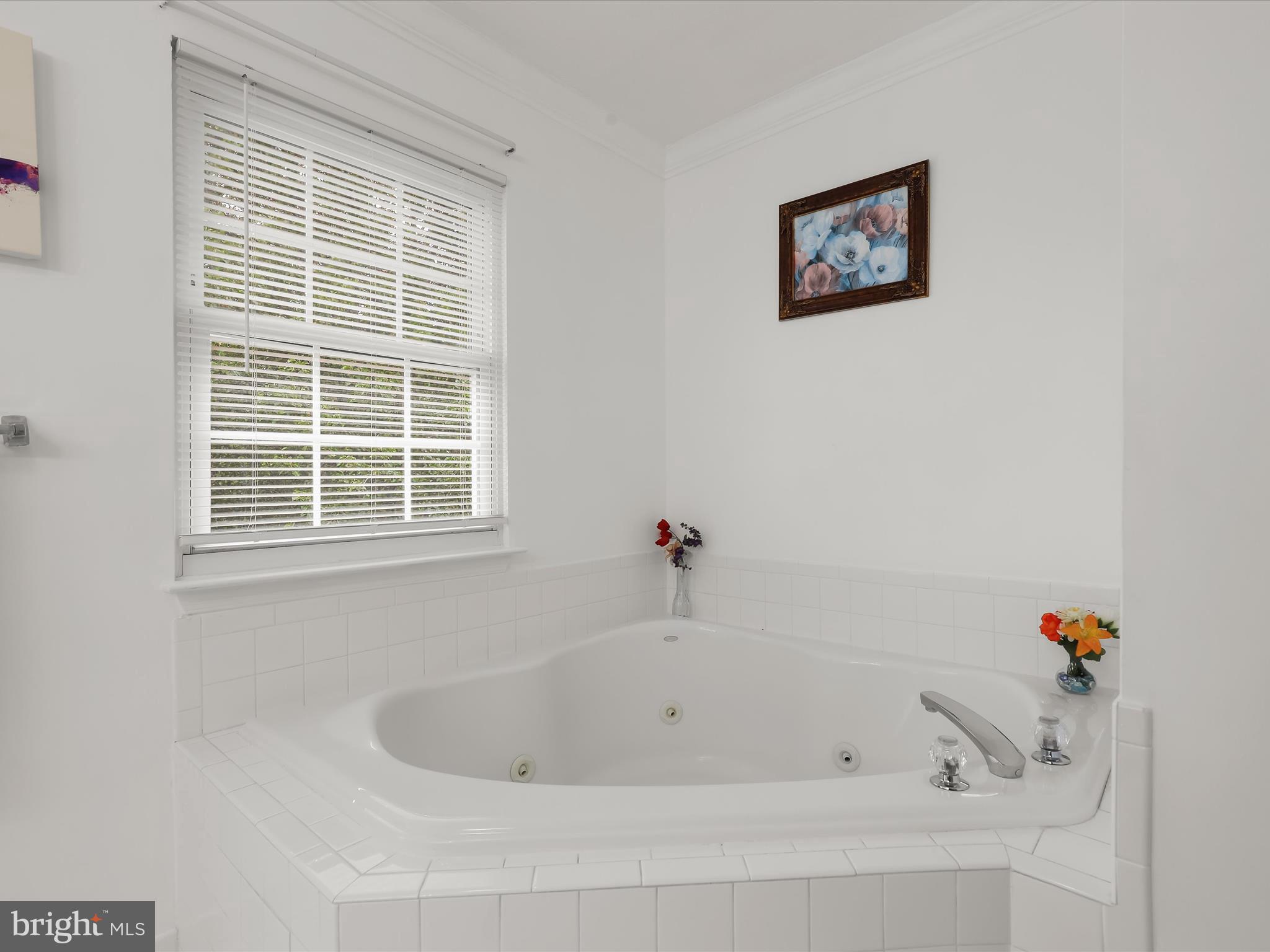 1914 Meadowgate Court Windsor Mill, MD 21244 - Photo 25 of 43 Primary Bedroom Suite Bath