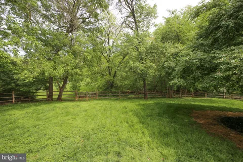 a view of a field of grass and trees