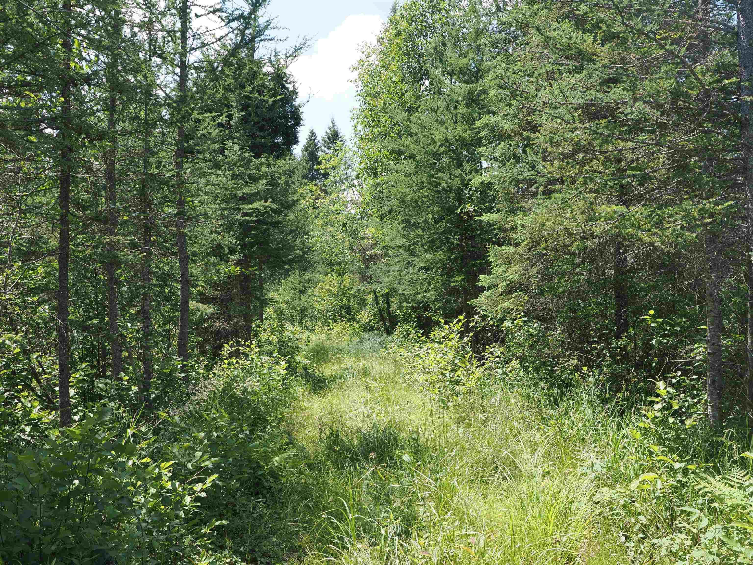 0 County Road Ishpeming, MI 49849 - Photo 21 of 85
