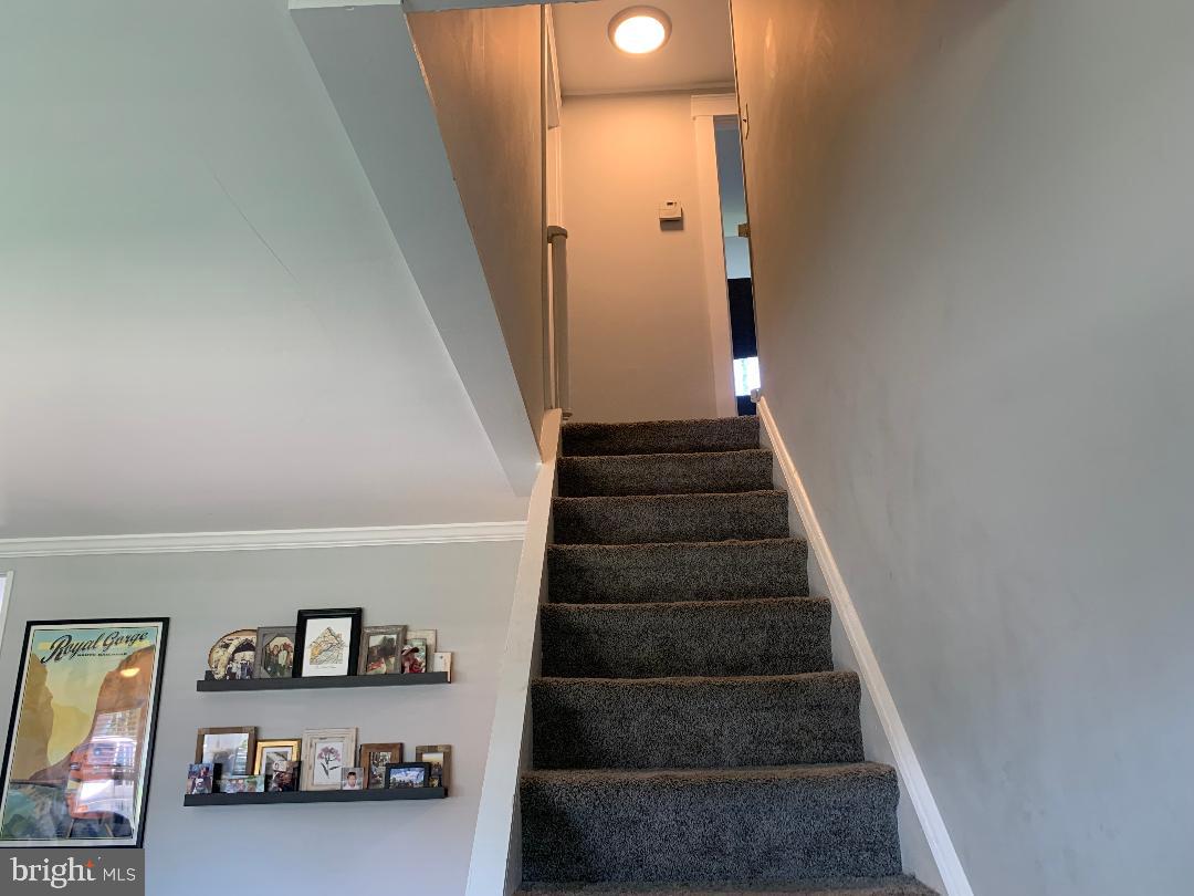 20 Cleft Rock Road Levittown, PA 19057 - Photo 23 of 26 Gallery Image 23