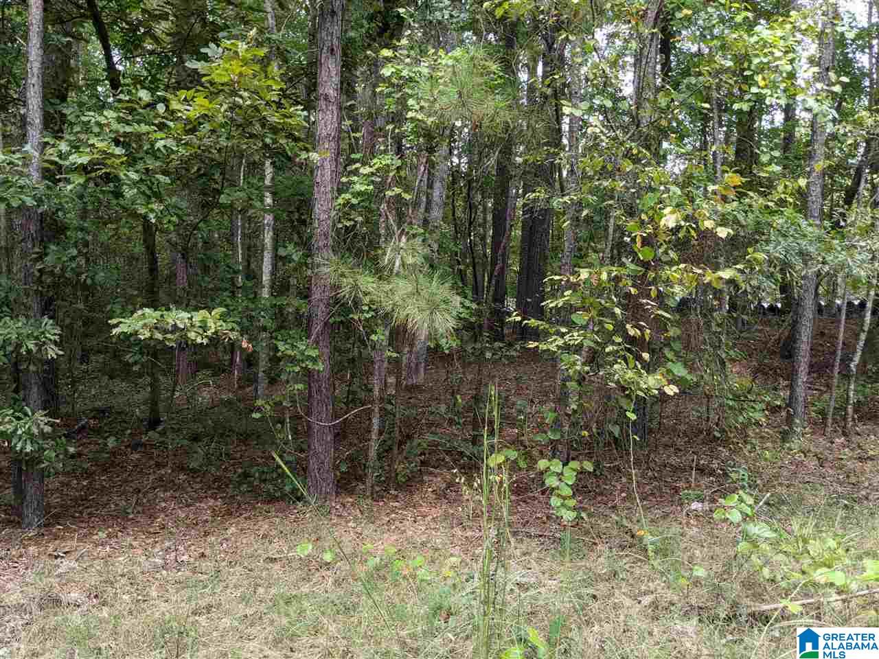 0 Smith Avenue, Unit 3 2 Anniston, AL 36207 - Photo 6 of 43