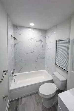 a bathroom with a toilet and a bathtub