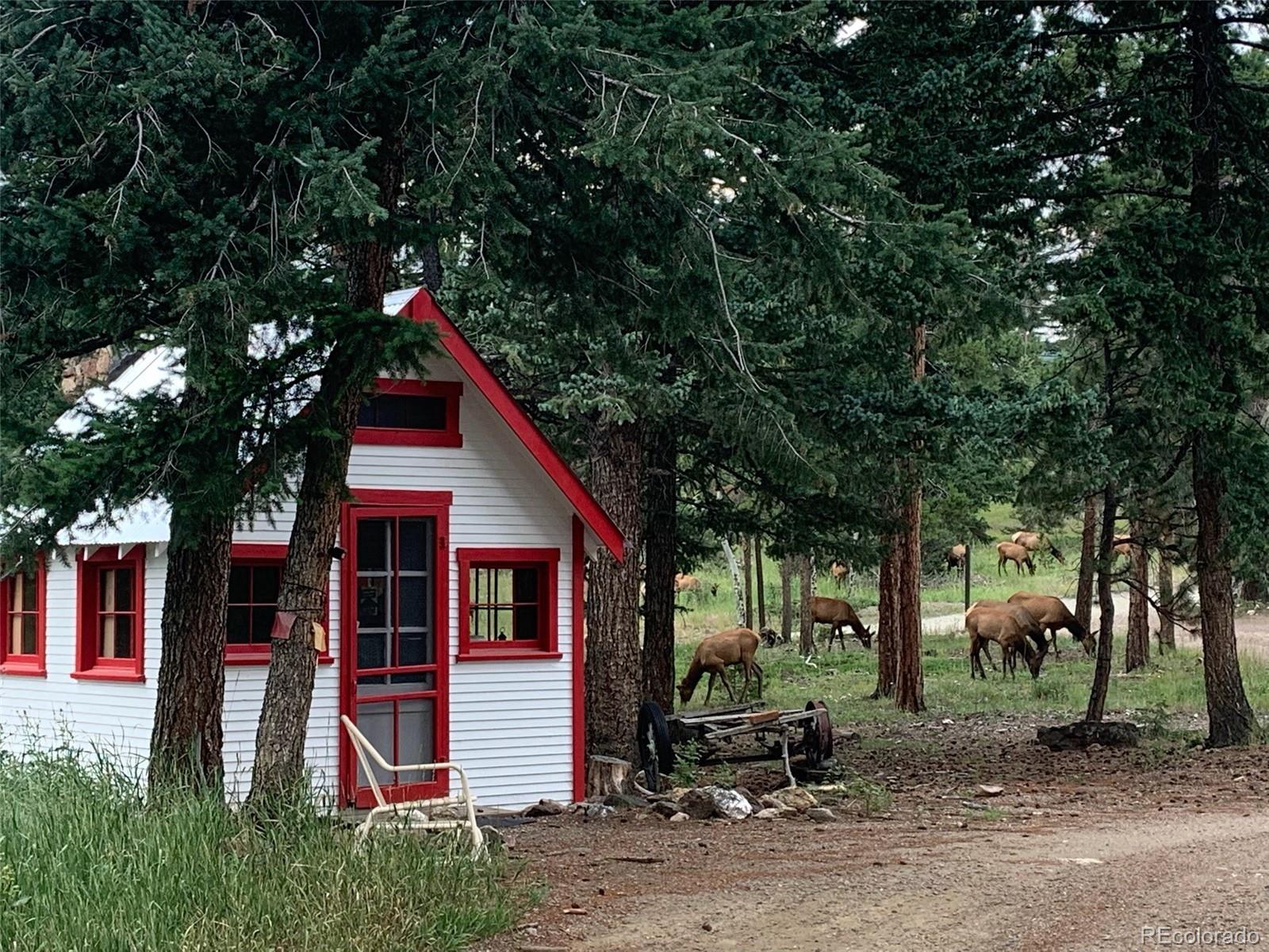 255 Raccoon Circle Evergreen, CO 80439 - Photo 12 of 19