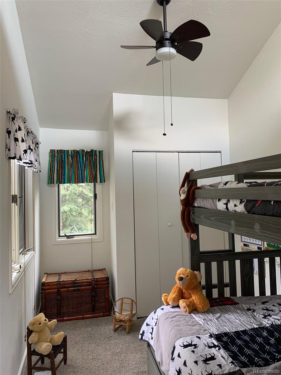 255 Raccoon Circle Evergreen, CO 80439 - Photo 17 of 19