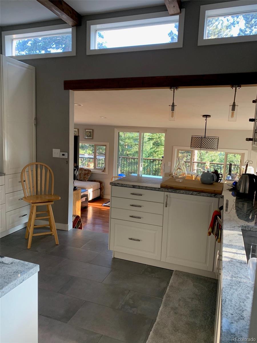 255 Raccoon Circle Evergreen, CO 80439 - Photo 4 of 19