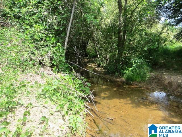 1093 High Pine Road Ashland, AL 36251 - Photo 20 of 36