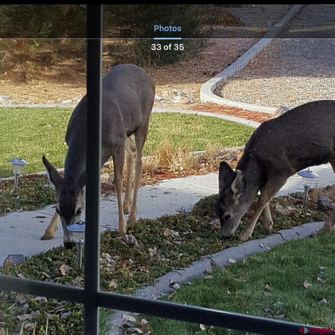 1675 P Road Loma, CO 81524 - Photo 31 of 34