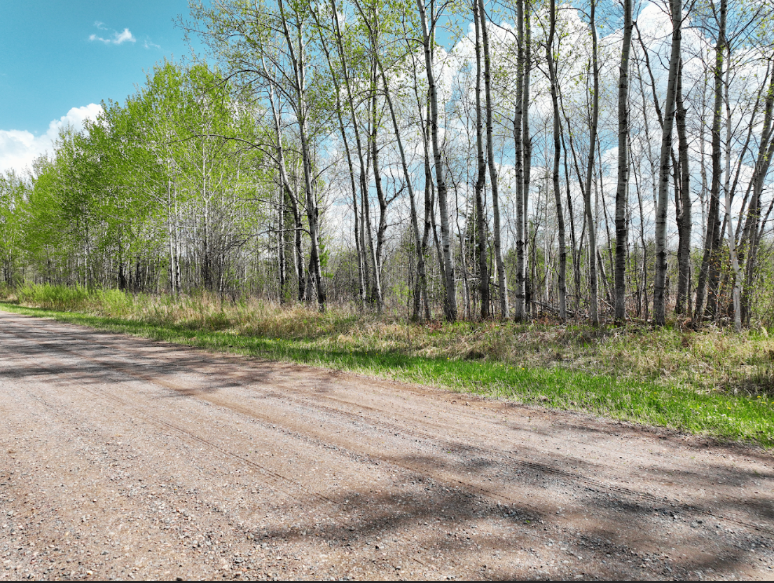 0 Fine Lakes Road Floodwood, MN 55736 - Photo 4 of 10