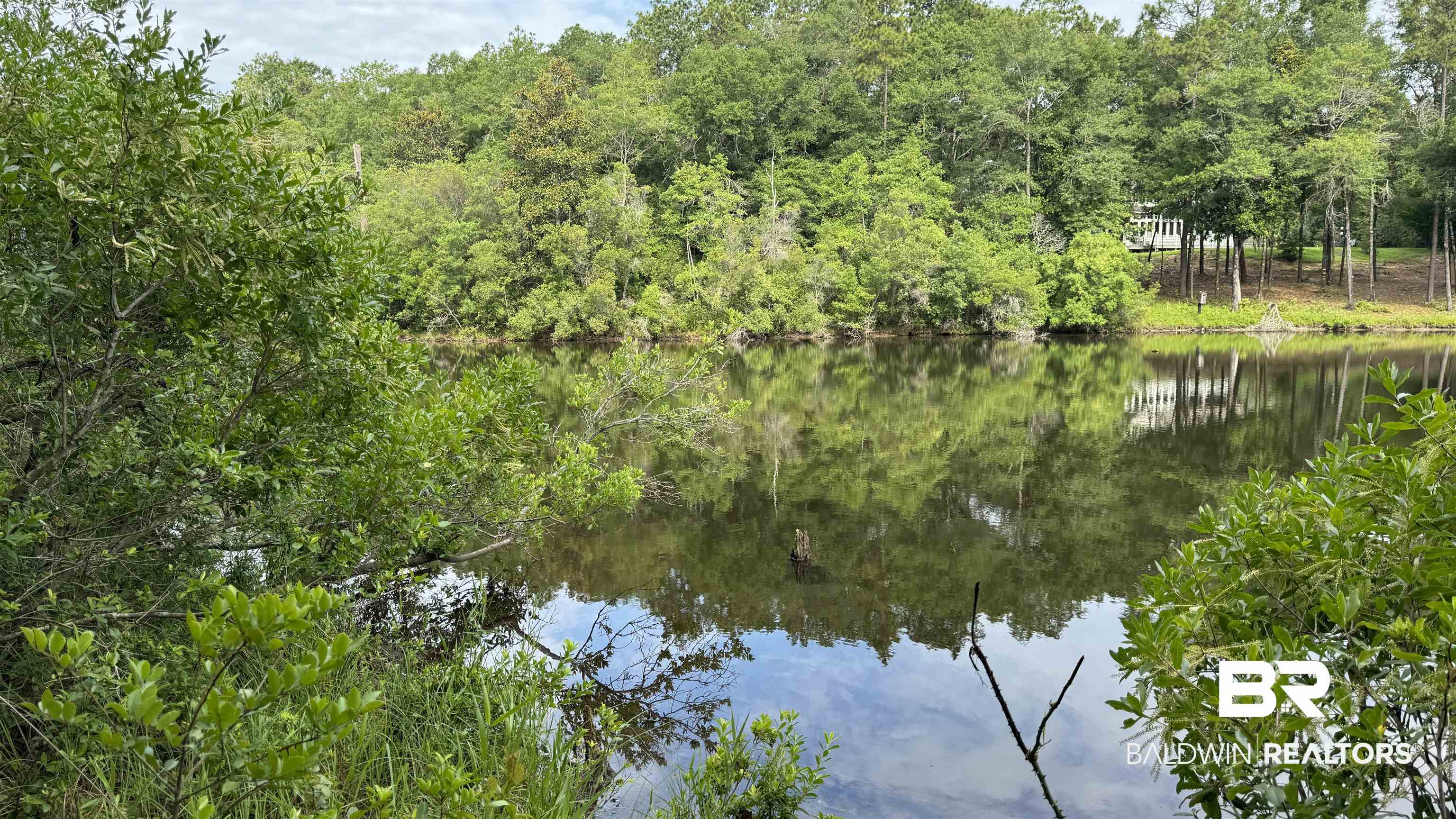 0 US Highway 98 Semmes, AL 36575 - Photo 12 of 24