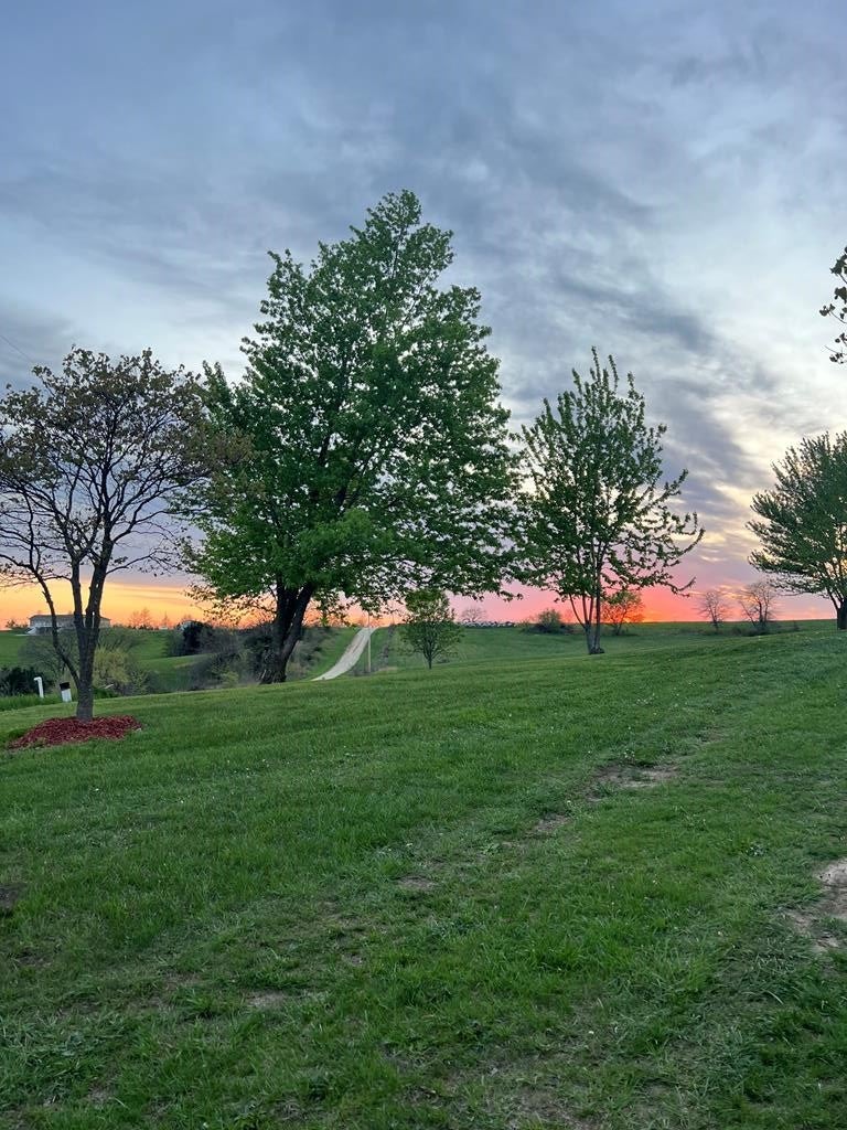 31313 Kaddon Road New Boston, MO 63557 - Photo 5 of 19 Gallery Image 5