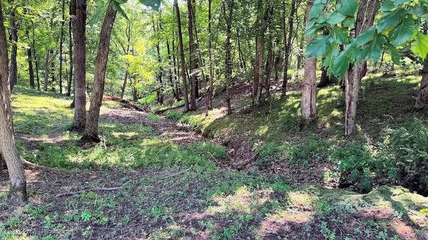 $40,000 | 12 Dakota Ridge Road, Baraboo, WI 53913