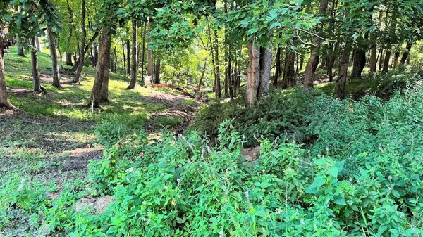 $40,000 | 12 Dakota Ridge Road, Baraboo, WI 53913