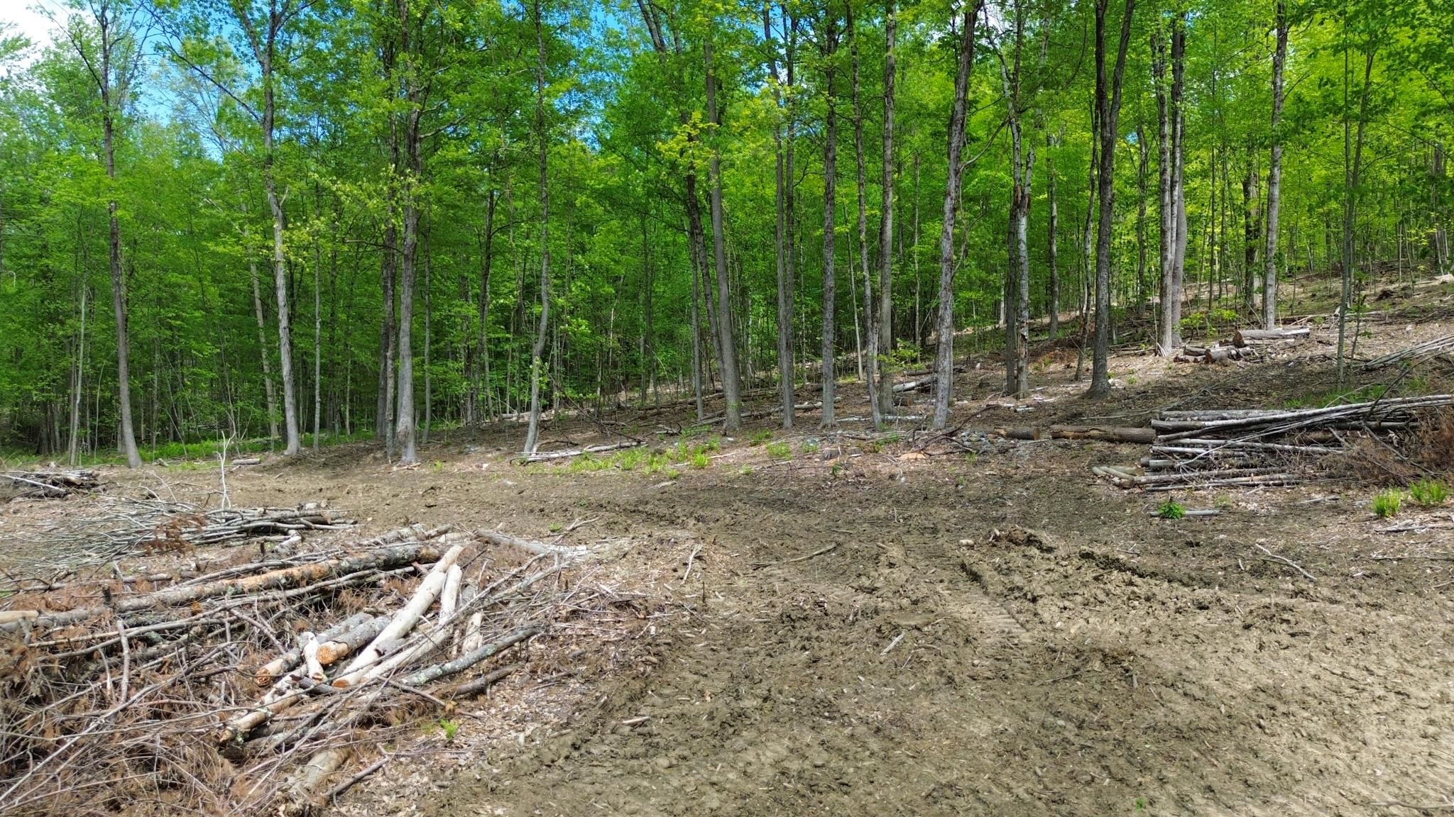 Lot 26-4 Plain Road Hinsdale, NH 03451 - Photo 1 of 28