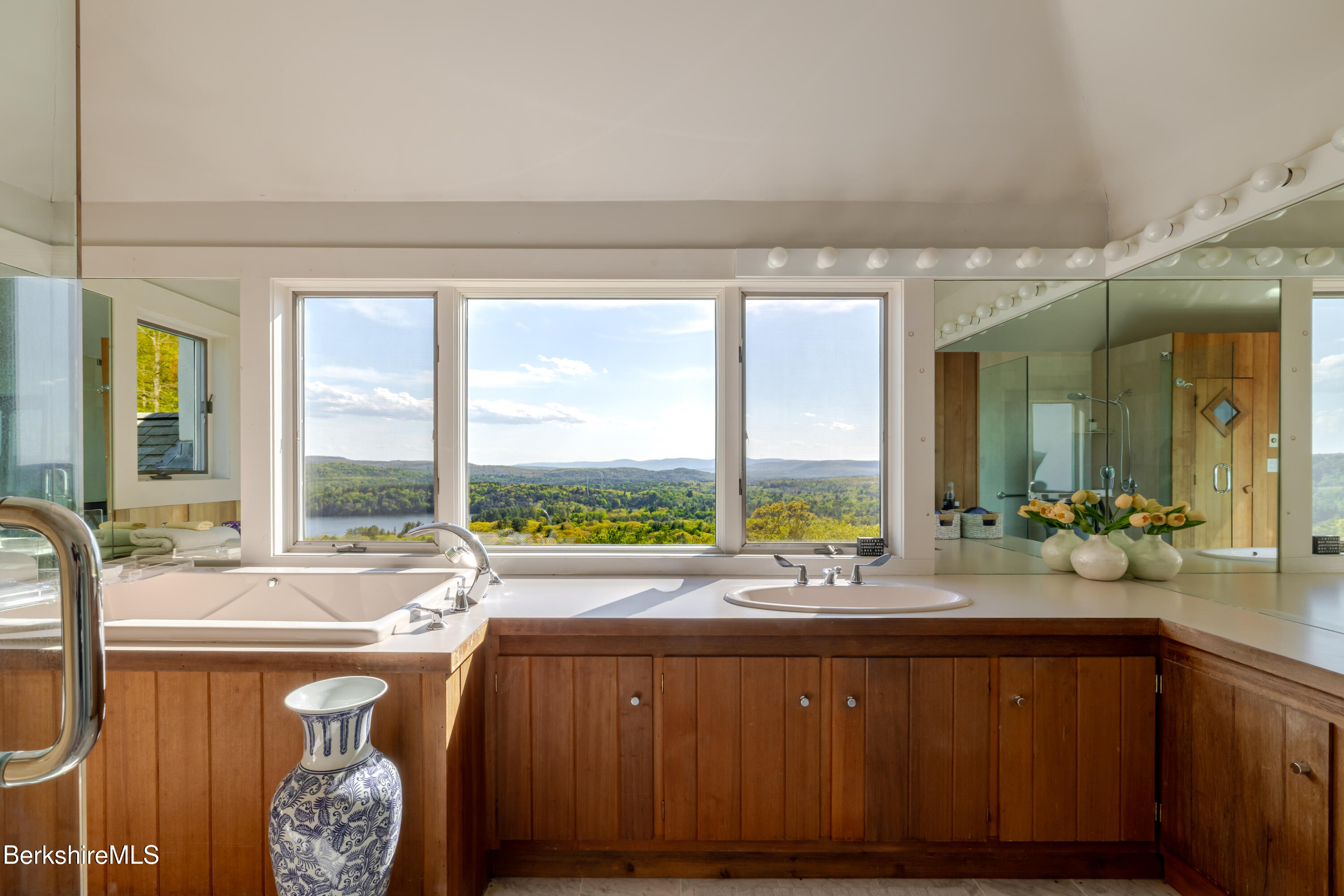 169 Mt Hunger Road Monterey, MA 01245 - Photo 22 of 47 BATHTUB WITH A VIEW