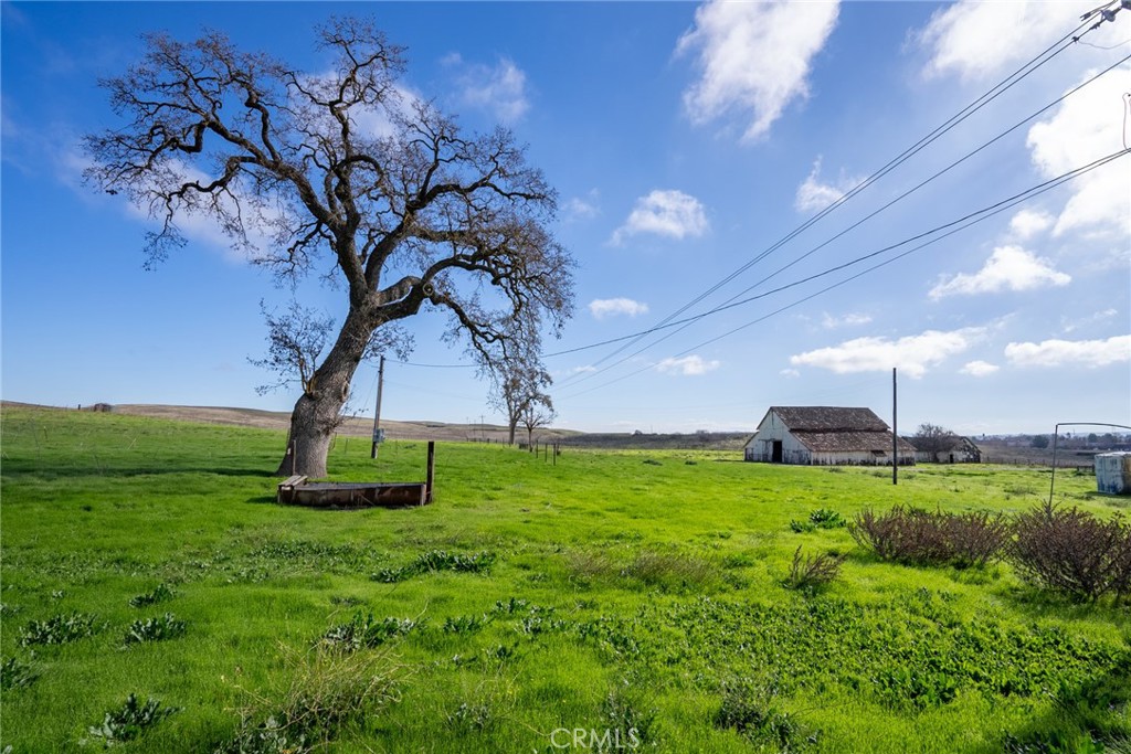 378 Lark Drive Paso Robles, CA 93446 - Photo 25 of 33 a view of a garden with a tree
