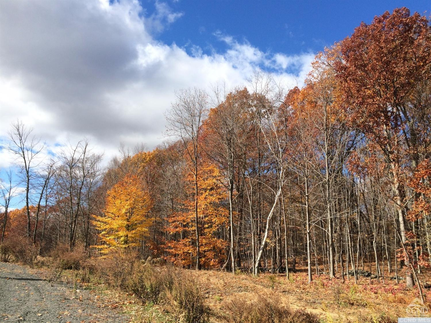 10 Stonegate Off Birch Hill Road Craryville, NY 12521 - Photo 2 of 4 Lot 10