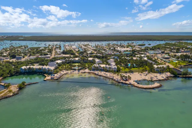 a view of a palm trees with a building in the background